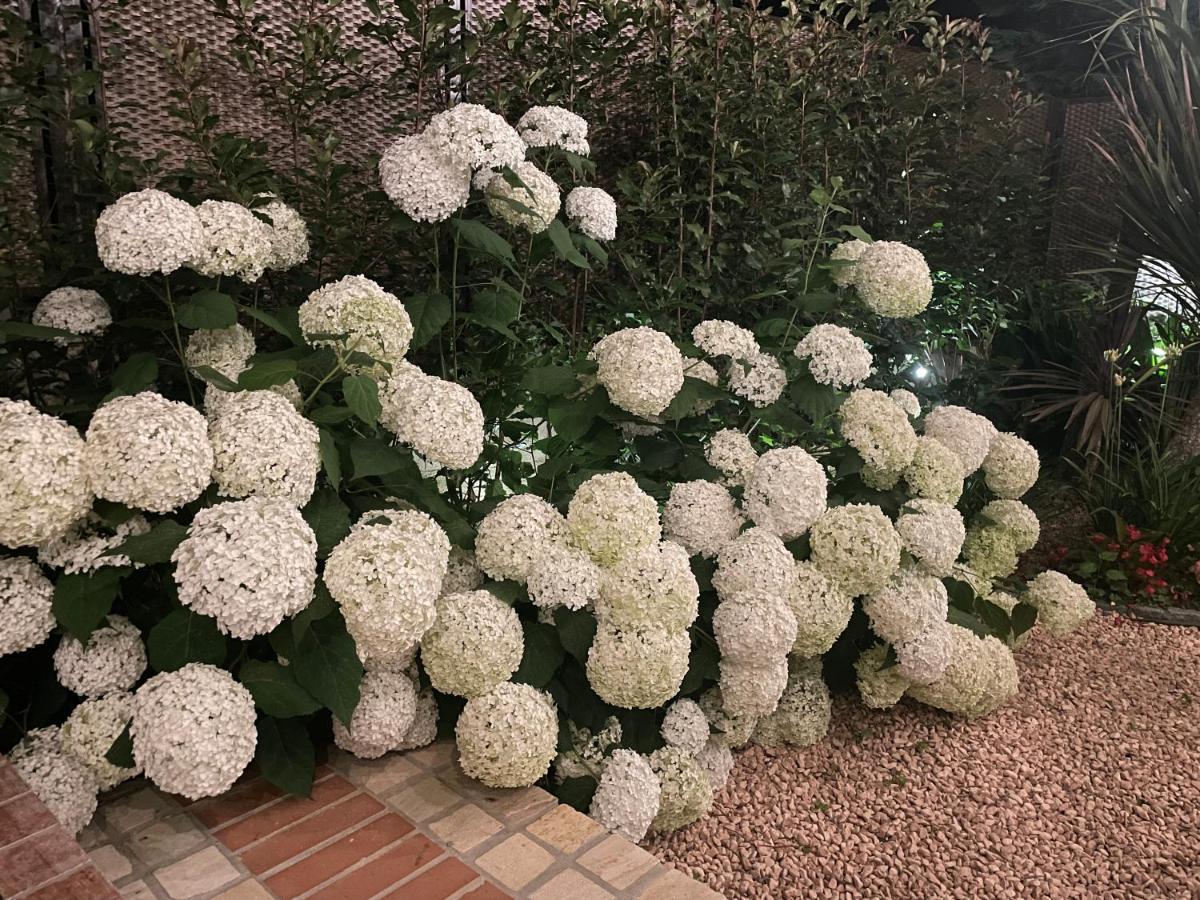 Borgata Cantone Country House B&B Garlenda Zewnętrze zdjęcie