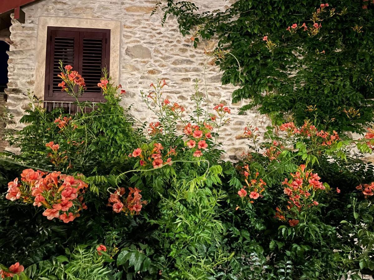 Borgata Cantone Country House B&B Garlenda Zewnętrze zdjęcie